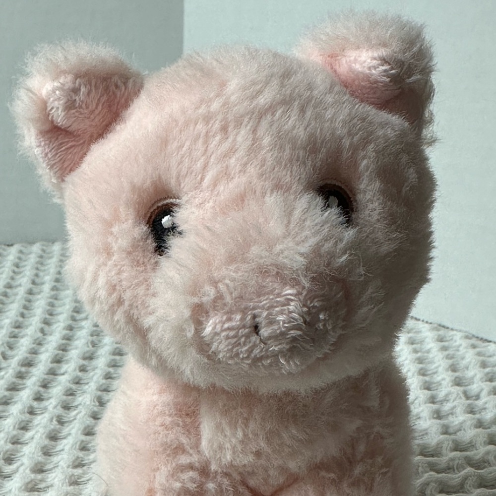 Aurora Eco Nation 35075 Mini Pig 5” Pink Plush Stuffed Animal‎ Embroidered Face